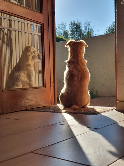 Morning Sun